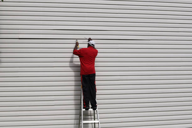 Best Custom Siding Design  in Franklinville, NJ