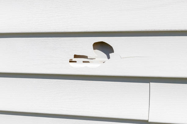 Best Custom Trim and Detailing for Siding  in Franklinville, NJ