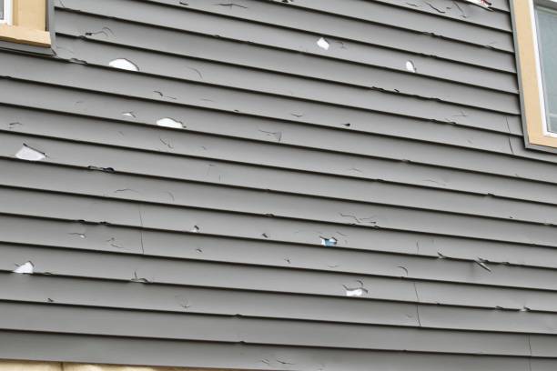 Best Composite Siding  in Franklinville, NJ