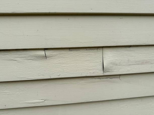 Best Siding Removal and Disposal  in Franklinville, NJ