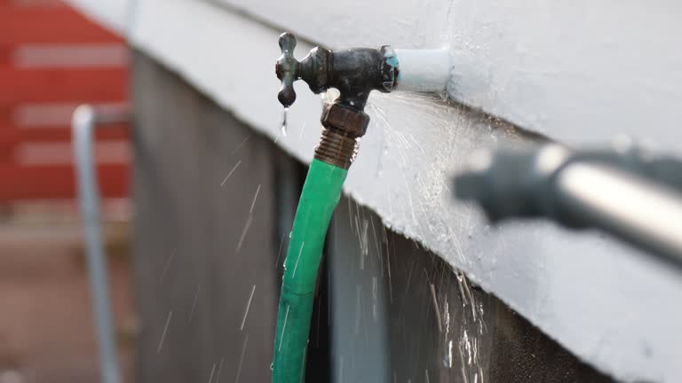 Best Historical Building Siding Restoration  in Franklinville, NJ