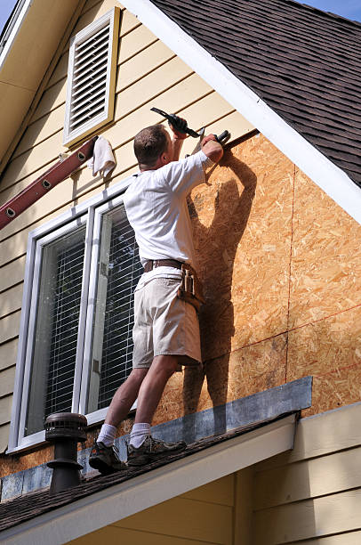 Best Storm Damage Siding Repair  in Franklinville, NJ
